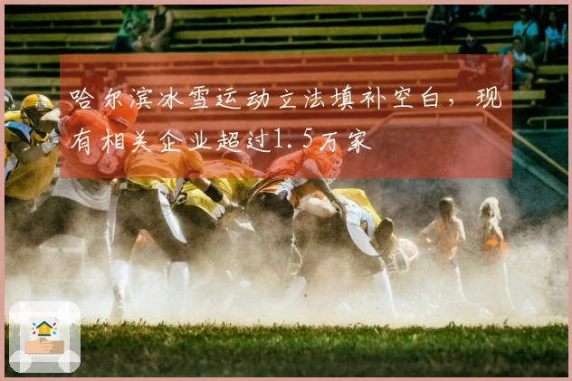 哈尔滨冰雪运动立法填补空白，现有相关企业超过1.5万家