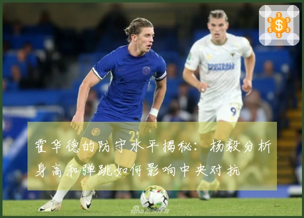 霍华德的防守水平揭秘：杨毅分析身高和弹跳如何影响中央对抗