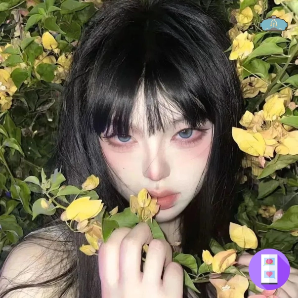北纬用户